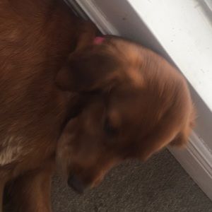 Meet your Posher, Jay